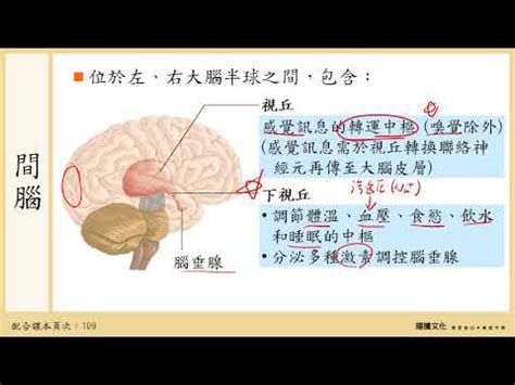 下視丘功能口訣